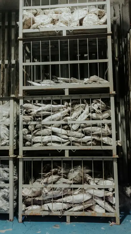 Frozen fish stacked in metal storage crates in a cold store